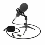 Микрофон RITMIX RDM-160 Black, конденсаторный, подставка