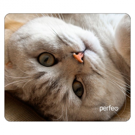    Perfeo Cat 13, 240x200x2 , +  (PF_D0654)