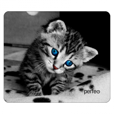    Perfeo Cat 14, 240x200x2 , +  (PF_D0655)