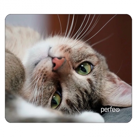    Perfeo Cat 19, 240x200x2 , +  (PF_D0660)