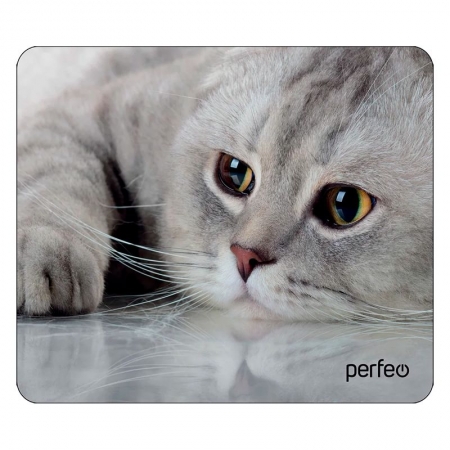    Perfeo Cat 22, 180x220x2 , +  (PF_D0666)