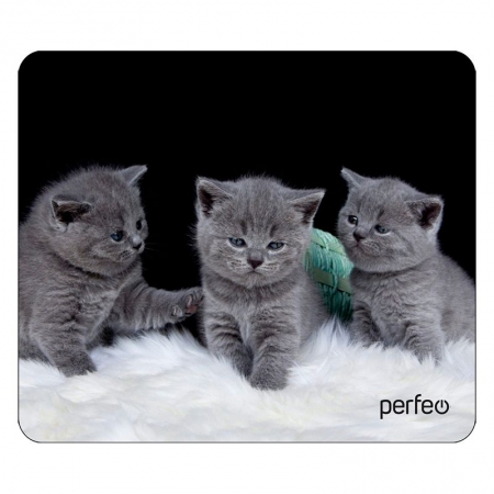    Perfeo Cat 26, 180x220x2 , +  (PF_D0670)