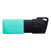 256Gb Kingston DataTraveler Exodia M USB 3.2 / (DTXM/256GB)