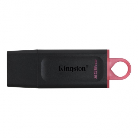 256Gb Kingston DataTraveler Exodia USB 3.2 / (DTX/256GB)