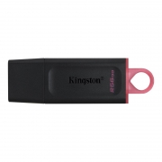 256Gb Kingston DataTraveler Exodia USB 3.2 / (DTX/256GB)