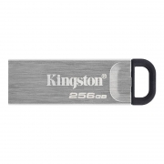 256Gb Kingston DataTraveler Kyson, , USB 3.2  (DTKN/256GB)