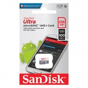   Micro SDXC 256Gb SanDisk Ultra U1 100 /c   (SDSQUNR-256G-GN3MN)
