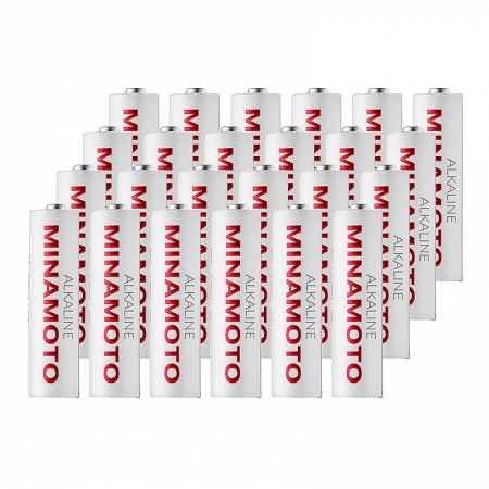  AA Minamoto LR6/2SH Alkaline, 24 , 
